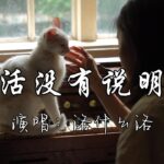 洛什么洛 - 生活没有说明书『生活啊 它没有说明书，难免会走错路，谁都会有遗憾有低谷，没有谁生下来就享福，你别轻易认输。』『动态歌词MV』