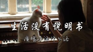 洛什么洛 - 生活没有说明书『生活啊 它没有说明书,难免会走错路,谁都会有遗憾有低谷,没有谁生下来就享福,你别轻易认输。』『动态歌词MV』