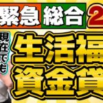 【いまも申請可能です!! 生活福祉資金 20万円等】非課税でなくても申請可能/ 低所得者/ 高齢者/ 障害者世帯/ 生活支援・福祉支援費/ 保証人不要/ 免除と生保は利用できる?〈R7年2月時点〉
