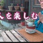 70代田舎暮らし,森のモノたちと一人を楽しむ一人を生きる