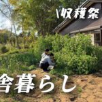 【古民家田舎暮らし】夫婦で移住/無農薬畑/春の大収穫祭りスタート【移住85】