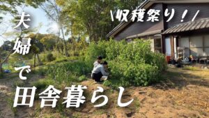 【古民家田舎暮らし】夫婦で移住/無農薬畑/春の大収穫祭りスタート【移住85】