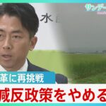 “コメ担当大臣”小泉新農水大臣、コメ不足認め「減反やめる」　農政のタブーに挑戦、過去の反発乗り越えられるか【サンデーモーニング】| TBS NEWS DIG