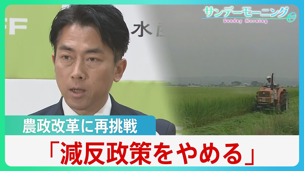 “コメ担当大臣”小泉新農水大臣、コメ不足認め「減反やめる」 農政のタブーに挑戦、過去の反発乗り越えられるか【サンデーモーニング】| TBS NEWS DIG