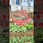 #农村生活#劇情#生活#情感#shorts