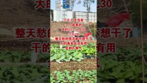 #农村生活#劇情#生活#情感#shorts