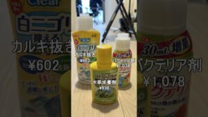 アクアリウム始めるのにかかった金額 #アクアリウム #熱帯魚 #趣味 #vlog #アクアリウム初心者 #aquarium