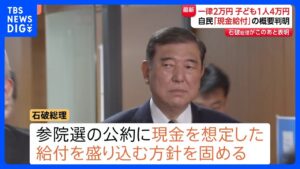 「一律2万円・子ども1人2万円追加給付」今夜発表へ 自民の給付金概要が判明 来月参院選の公約に|TBS NEWS DIG