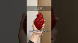 【一人暮らし必見】新生活にオススメのアイテム3選 #shorts