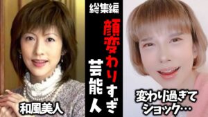 【ガルちゃん芸能】ショック…顔変わりすぎた芸能人【有益2ch】【総集編】