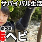 【サバイバル生活#9】日本で一番危険な毒ヘビが出現!捌いて食ってみた【5日目】