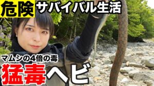 【サバイバル生活#9】日本で一番危険な毒ヘビが出現！捌いて食ってみた【5日目】