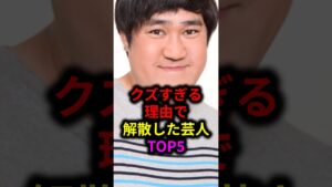 クズすぎる理由で解散した芸人TOP5#雑学 #芸人 #お笑い芸人 #芸能人 #芸能