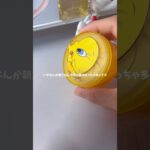 夏休みもう半分終わったよ🥺❓ #jc #コスメ #生活音 #fyp