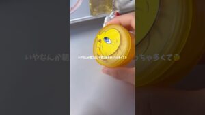 夏休みもう半分終わったよ🥺❓ #jc #コスメ #生活音 #fyp