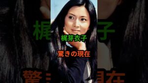 梶芽衣子　驚きの現在　#芸能人 #芸能 #梶芽衣子 #shorts