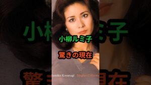 ㊗️12万再生‼小柳ルミ子　驚きの現在　#芸能人 #芸能 #昭和歌謡 #昭和 #小柳ルミ子  #shorts