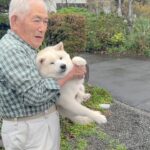 何でもない人生に輝きをくれた柴犬、16年間本当にありがとう。