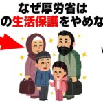 なぜ厚労省は外国人の生活保護をやめないの？【みんなが気になる政治雑学】【神谷宗幣】【参政党】【移民】
