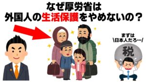 なぜ厚労省は外国人の生活保護をやめないの？【みんなが気になる政治雑学】【神谷宗幣】【参政党】【移民】