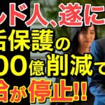 【海外の反応】外国人生活保護を撤廃！外国人生活保護1200億円削減で日本が変わる！小野田大臣の決断が防衛力を強化する【にほんのチカラ】