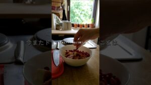 倹約家なドイツ人の生活に圧倒された話 #海外生活 #ドイツ #留学